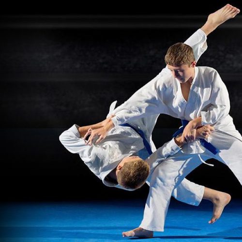 judo19-1024x640
